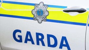 Gardaí appeal for witnesses following serious Co Kilkenny collision