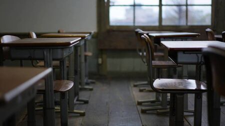 Catherine Drea: Through the eyes of a child