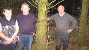 Farming: Forest Owners Group visit conifer plantation