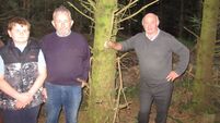 Farming: Forest Owners Group visit conifer plantation 