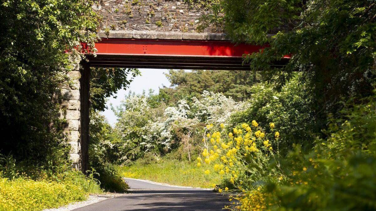 New cycle corridor planned to link in with Greenway