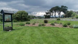 Local Notes: Local lotto and Tidy Towns news Local Notes: Local lotto and Tidy Towns news