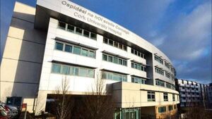 Widow says 34-year-old husband could have been saved if hospital scanner was working