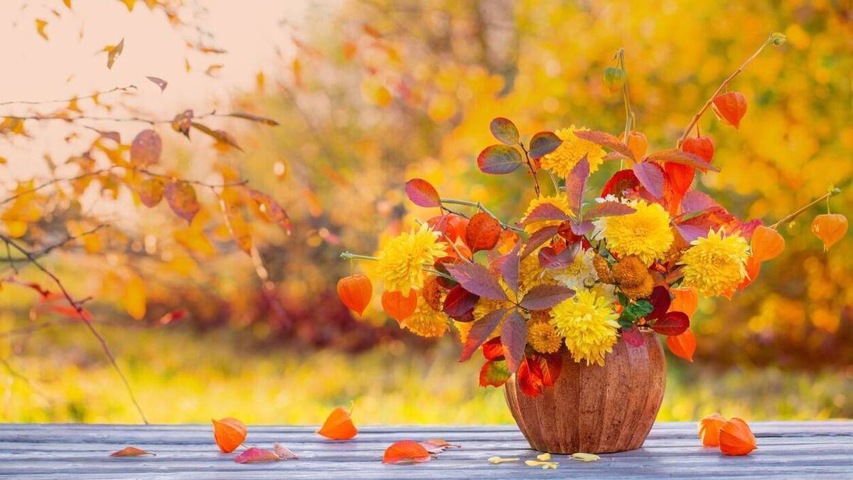 Green Fingers: Hints of autumn tints