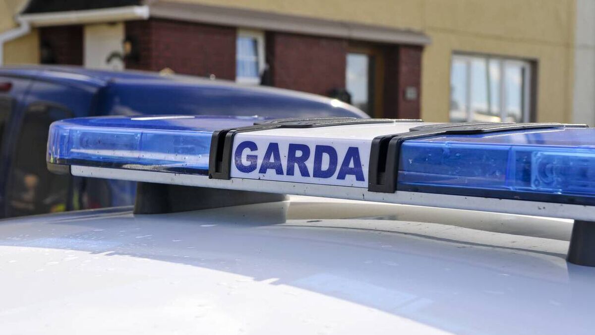 Man in his 80s dies after Mooncoin road collision