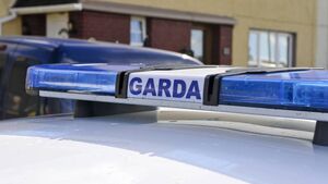 Man in his 80s dies after Mooncoin road collision