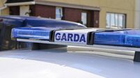 Man in his 80s dies after Mooncoin road collision