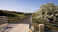 Works in motion along South East Greenway