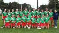 Camogie championship down to the final four