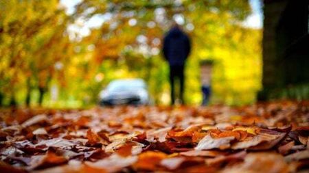 164 pedestrians killed and 1,426 seriously injured in the last four years - RSA