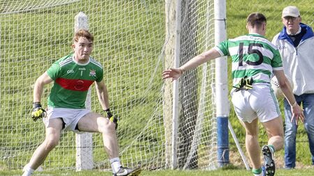Hurney points Ballinacourty to quarter-final win
