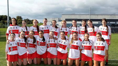 New semi-final pairings in Déise camogie championship