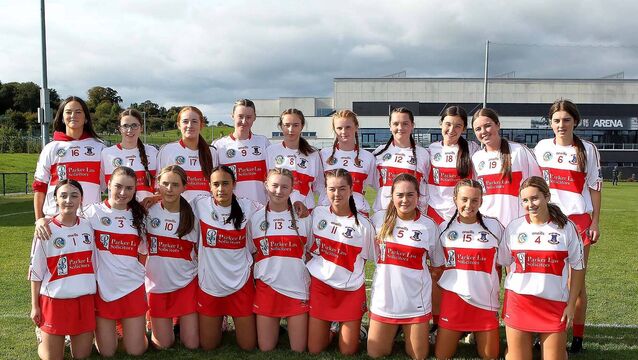 <p>De La Salle will renew rivalry with St Anne’s in the Camogie semi finals.</p>