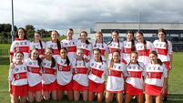 New semi-final pairings in Déise camogie championship