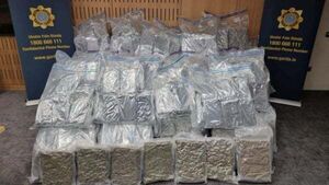 Four men arrested after seizure of cannabis worth €8.5 million in Dublin Four men arrested after seizure of cannabis worth €8.5 million in Dublin