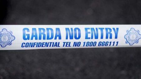 Two men arrested after almost €2 million of illegal tablets seized in Dublin