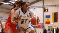 Wildcats make two new American signings for the season ahead