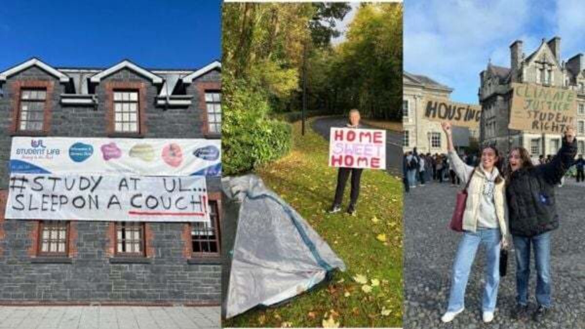 Students stage walkout to 'fight to make Ireland a home for young people again'