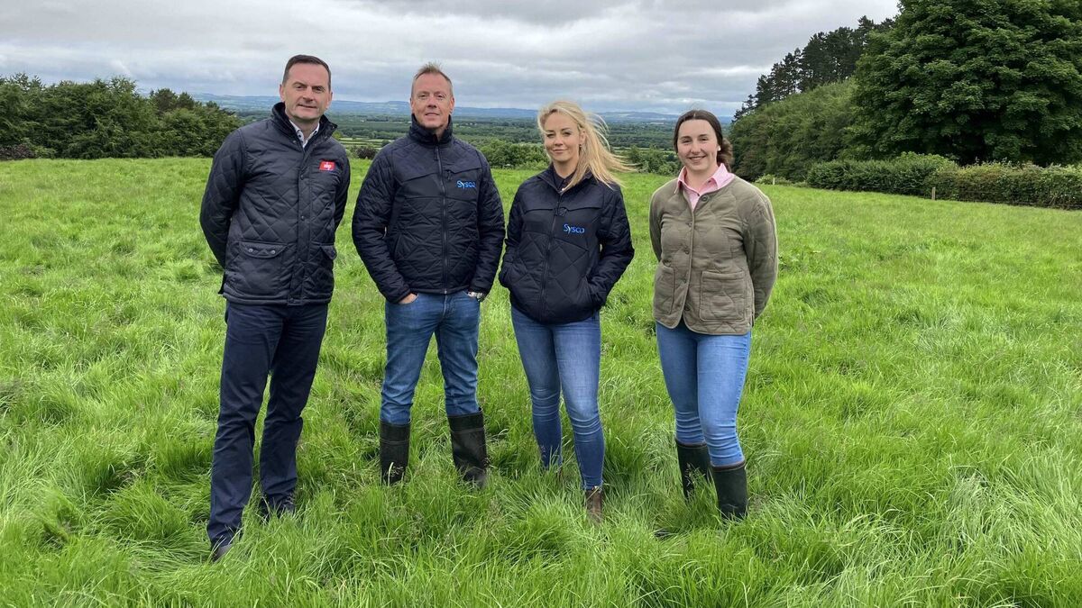 ABP and Sysco join forces on sustainable farming project