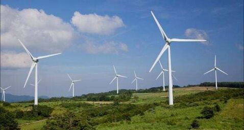 Renewables firm asks court to declare State has 'failed' to approve enough green energy projects