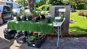 Local Notes: Sympathies, open evening, IFA awards and much more