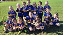 Local Notes: Camogie victory, GAA news, dinner dance, public meeting and much more