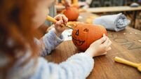 Local Notes: GAA news, Slieverue ARA, winter kindling, care at Halloween and much more
