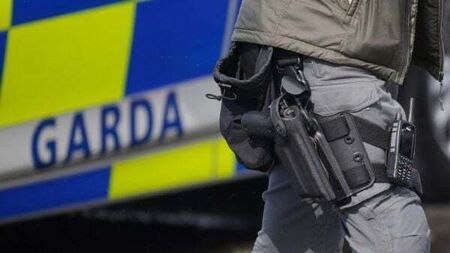 Armed gardaí entered wrong house and terrified children in their beds, court told