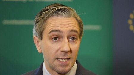 Rotation of Irish peacekeepers in Lebanon ‘will be done safely’