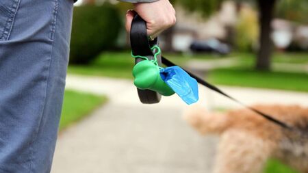 Dog fouling becoming increasing problem in Waterford