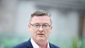 Sinn Féin's health plan includes extra €4bn spend, largest ever medical card expansion Sinn Féin's health plan includes extra €4bn spend, largest ever medical card expansion