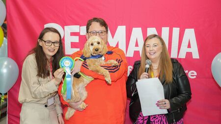 Déise pet reaches Puppy of the Year grand final