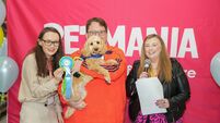 Waterford puppy reaches Puppy of the Year Grand Final