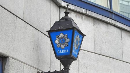 Gardaí issues car theft appeals 