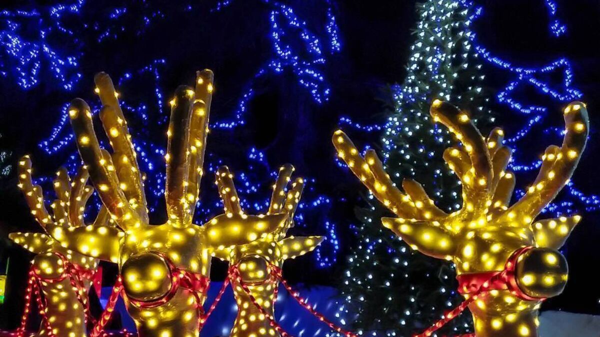 Mount Congreve and Tramore's Japanese Gardens prepare for festive season 
