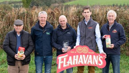 Waterford family win Oat Grower of the Year Award