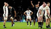 England miss late chances to claim prized New Zealand scalp in narrow defeat