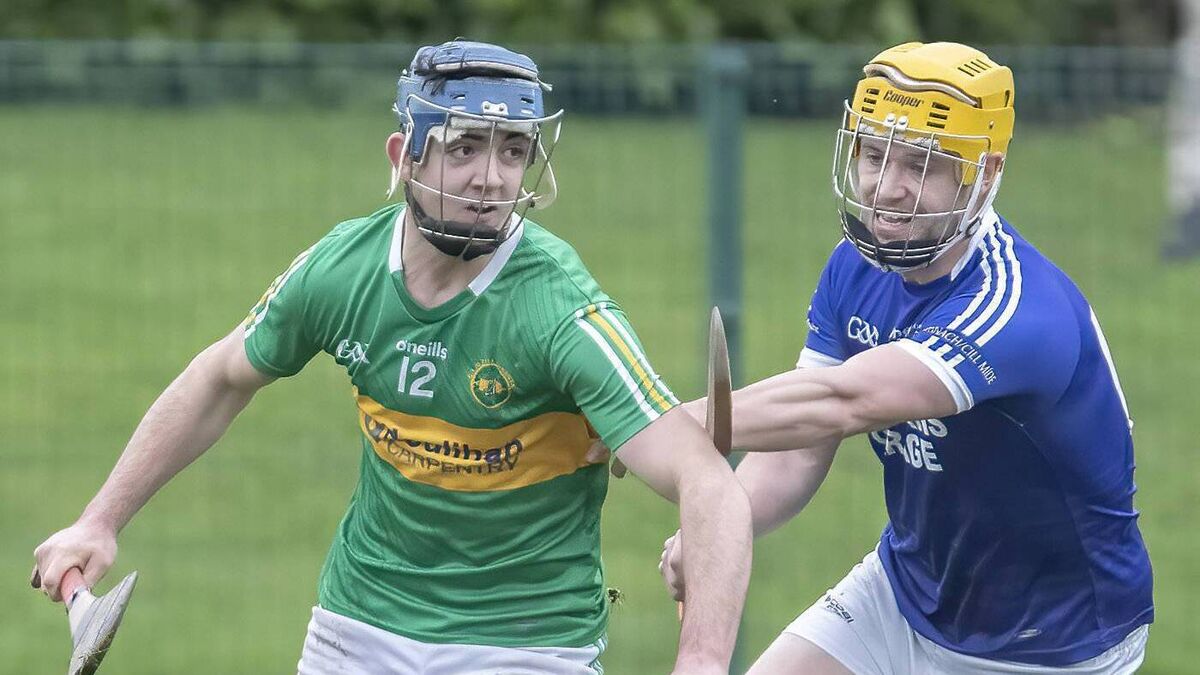 Fantastic Fitzgerald leads Kilrossanty to a famed first Munster victory