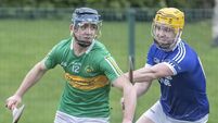 Fantastic Fitzgerald leads Kilrossanty to a famed first Munster victory