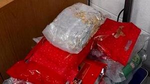 Man (30s) arrested after gardaí seize cannabis worth €120,000 in Co Galway Man (30s) arrested after gardaí seize cannabis worth €120,000 in Co Galway