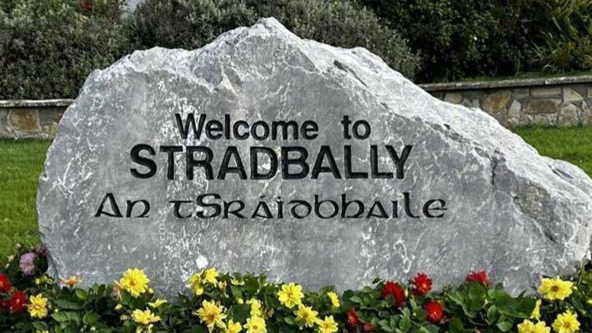 Waterford village described as ‘practically pristine’ in Tidy Towns report