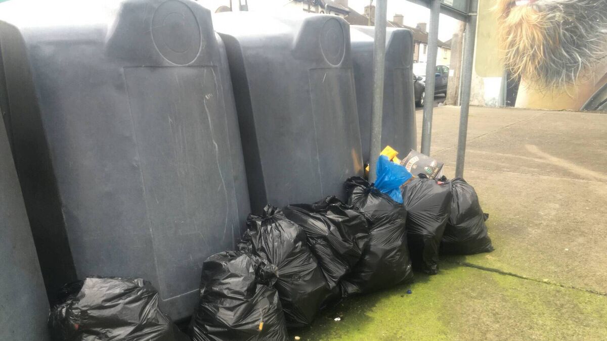 Waterford woman fined €1,235 for illegal dumping