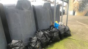 Waterford woman fined €1,235 for illegal dumping
