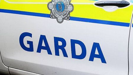 Garda injured in hit-and-run incident Garda injured in hit-and-run incident