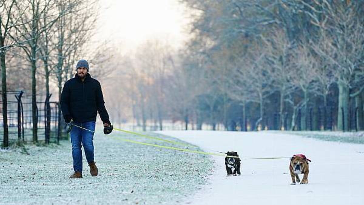 Cold snap on the way: Ireland to get 'quite a shock' as Arctic air moves over country