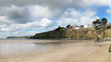 Take the Plunge for Focus Ireland