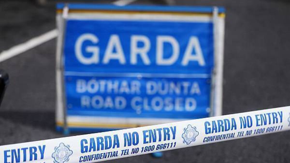 Driver in his 20s killed in Co Cork crash