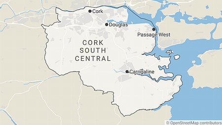 Crucial constituencies: Cork South-Central profile – Candidates and issues