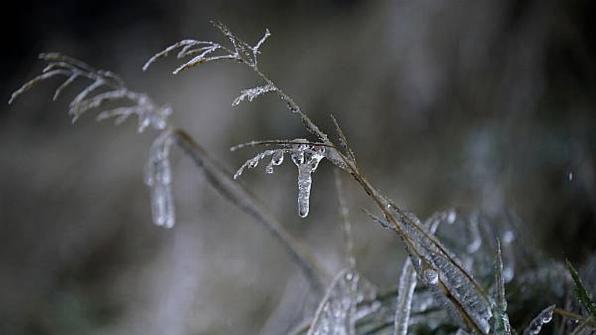 Status yellow snow and ice warning issued for three counties