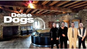 View from the Green Room: Daft 'Déise Dogs' knock off Reginald’s Tower View from the Green Room: Daft 'Déise Dogs' knock off Reginald’s Tower
